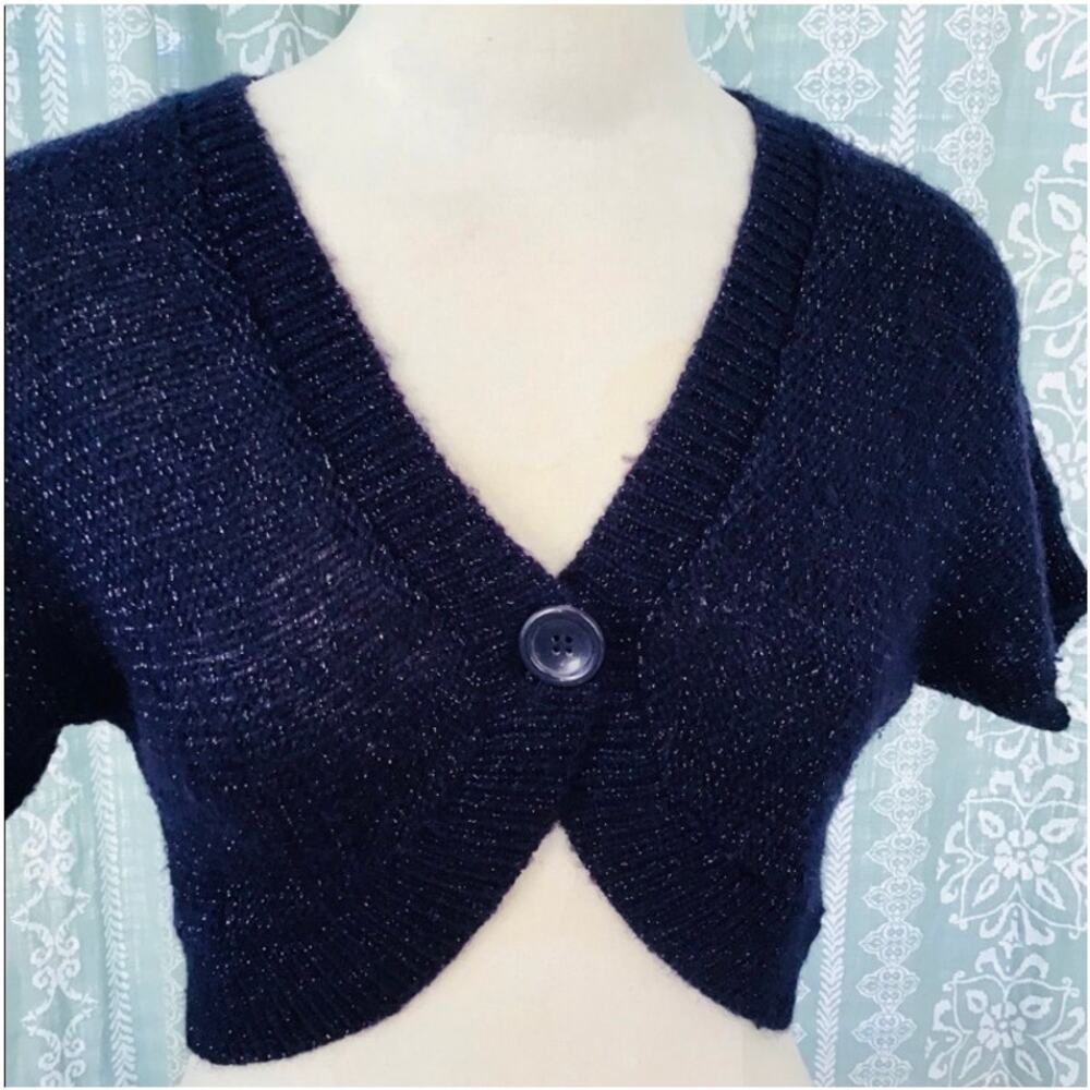 H&M purple short sleeve sparkle crop top fuzzy sweater